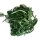 Tagliolini al Basilico, Schmale Bandnudeln mit Basilikum, 250 g, Marco Zanier