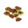Bunte Pasta Farfalline Bandiera Italiana, Schmetterlings Nudeln Italienische Flagge, 250 g, Farbige Nudeln, Marco Zanier