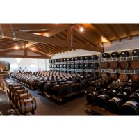 Aceto Balsamico di Modena IGP, Argento, Balsamico Essig aus Modena g.g.A., 100 ml, Società Agricola AcetoModena